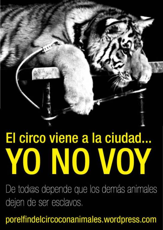 yo-no-voy-al-circo-1